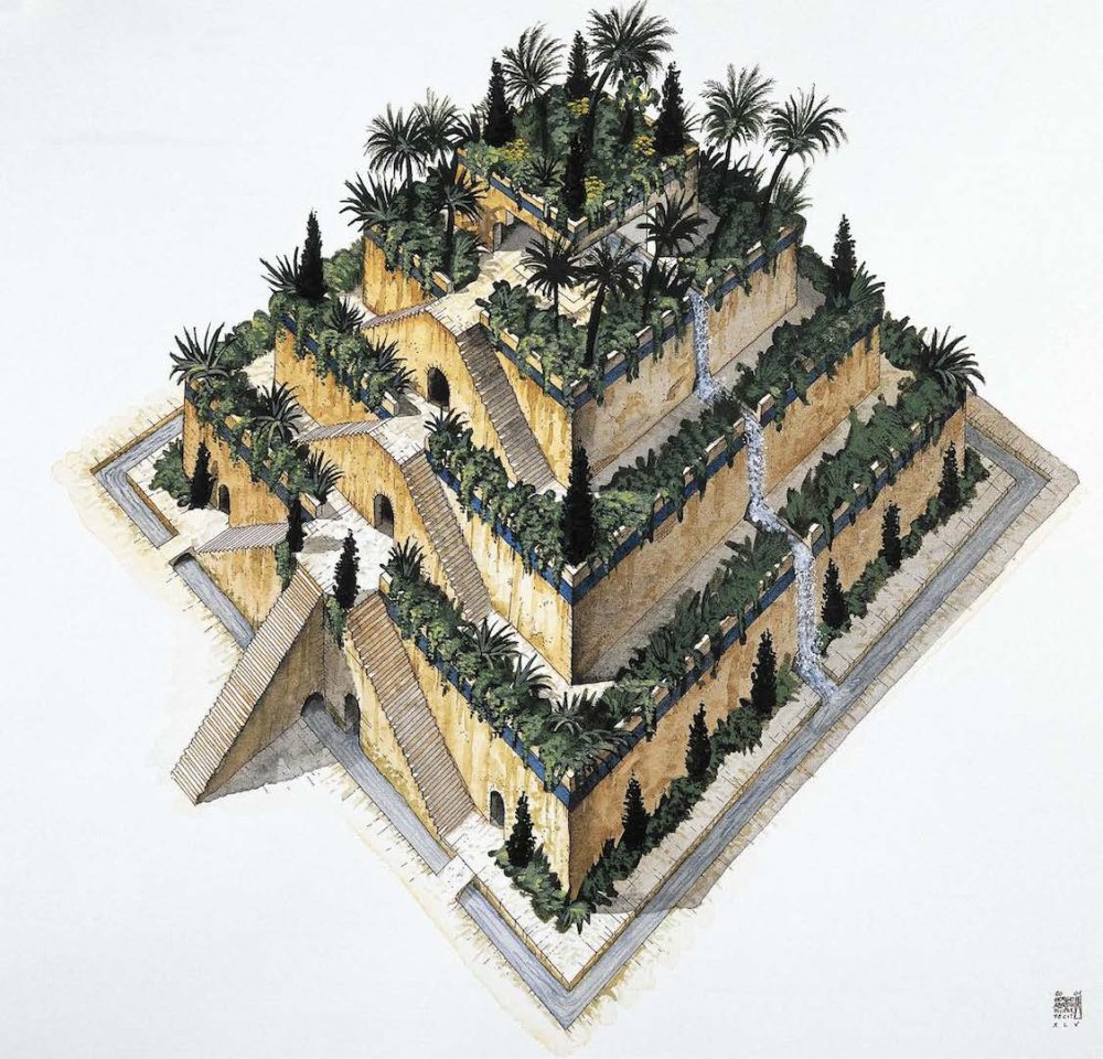 План висячих садов Семирамиды