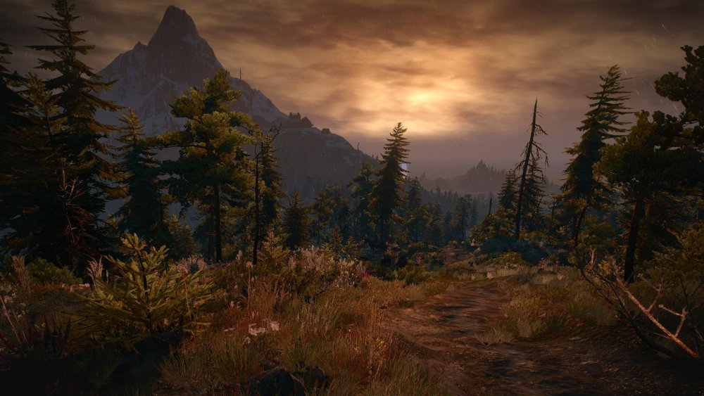 The Witcher 3 пейзажи