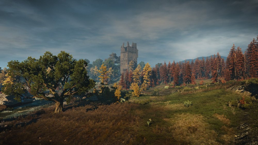 Ведьмак 3 красоты