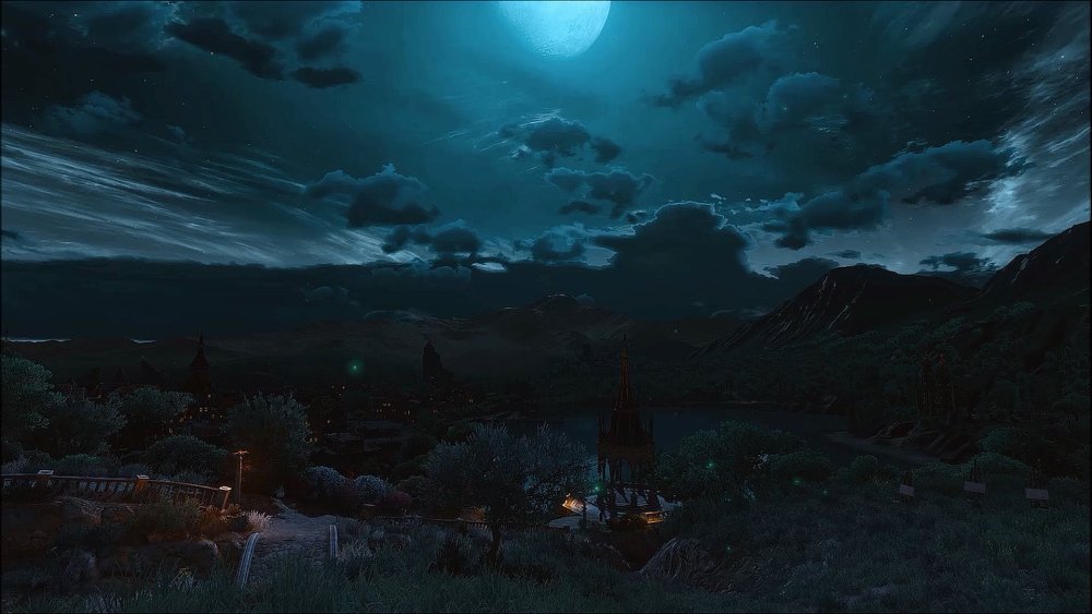 Ведьмак Туссент арт ночь