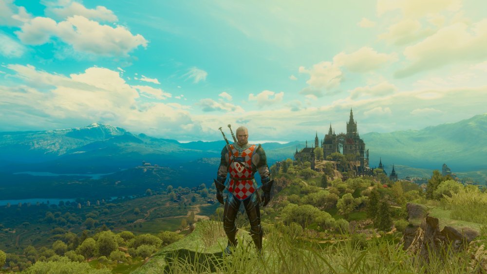 Туссент Ведьмак 3