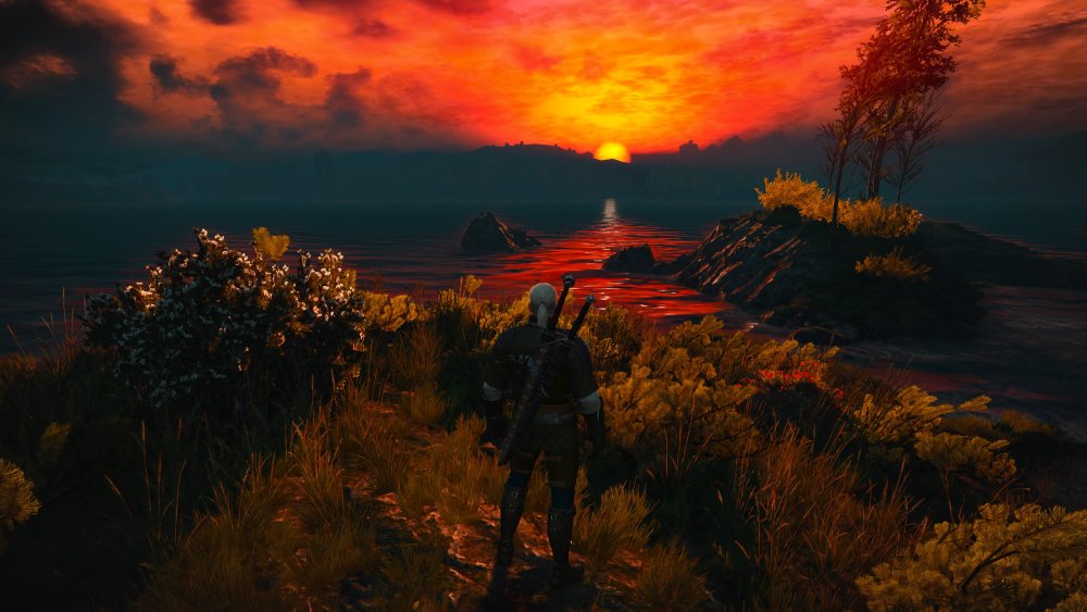 Ведьмак 3 Веленна