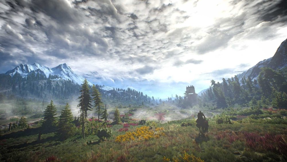Ведьмак 3 Дикая охота пейзажи