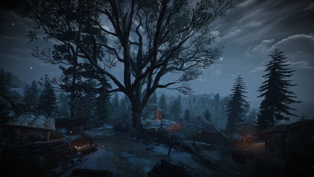 Witcher 3 Skellige
