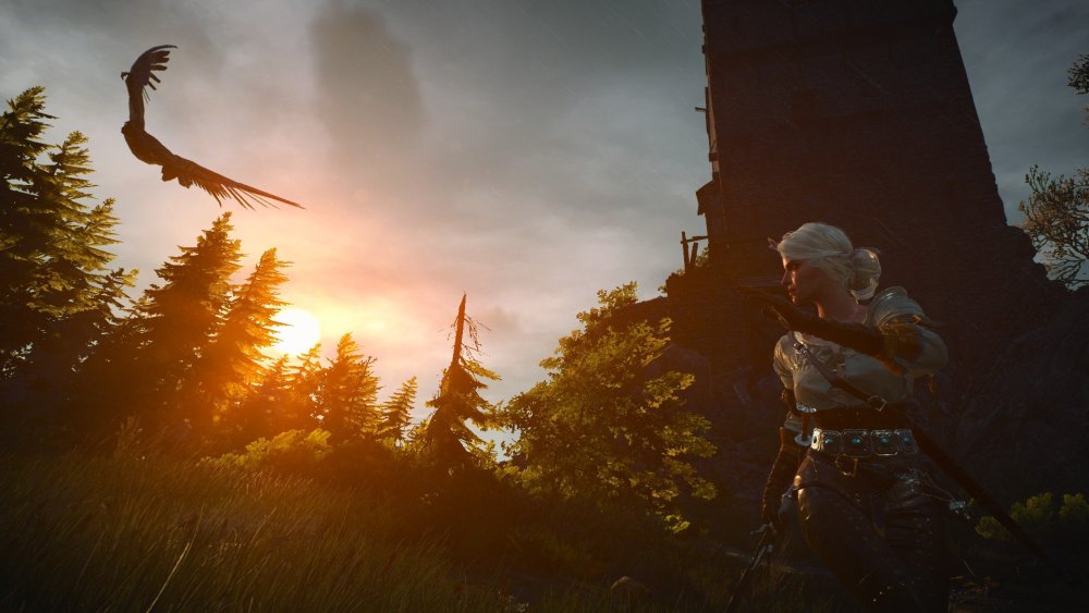 Ведьмак 3: Дикая охота