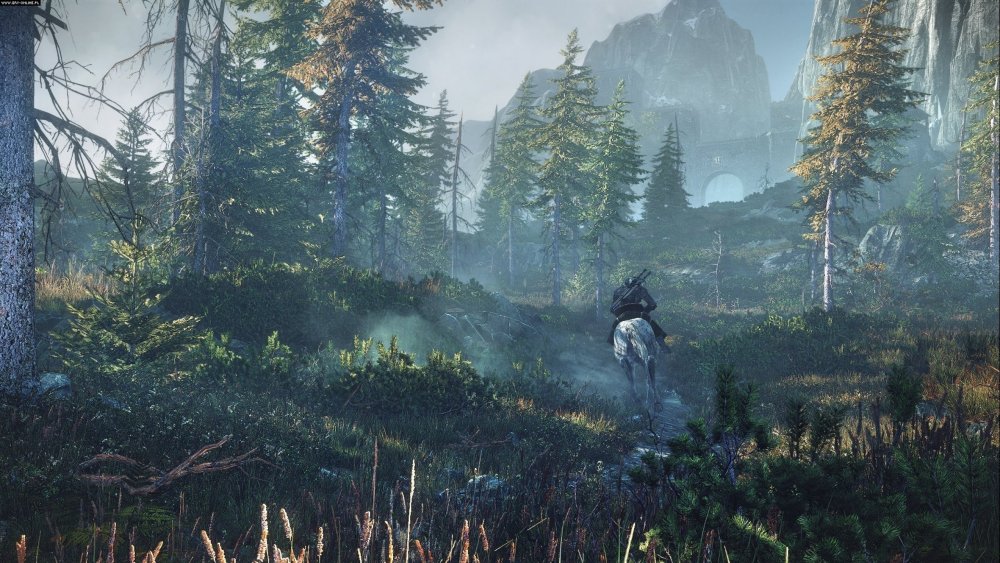 Ведьмак 3 Дикая охота пейзажи