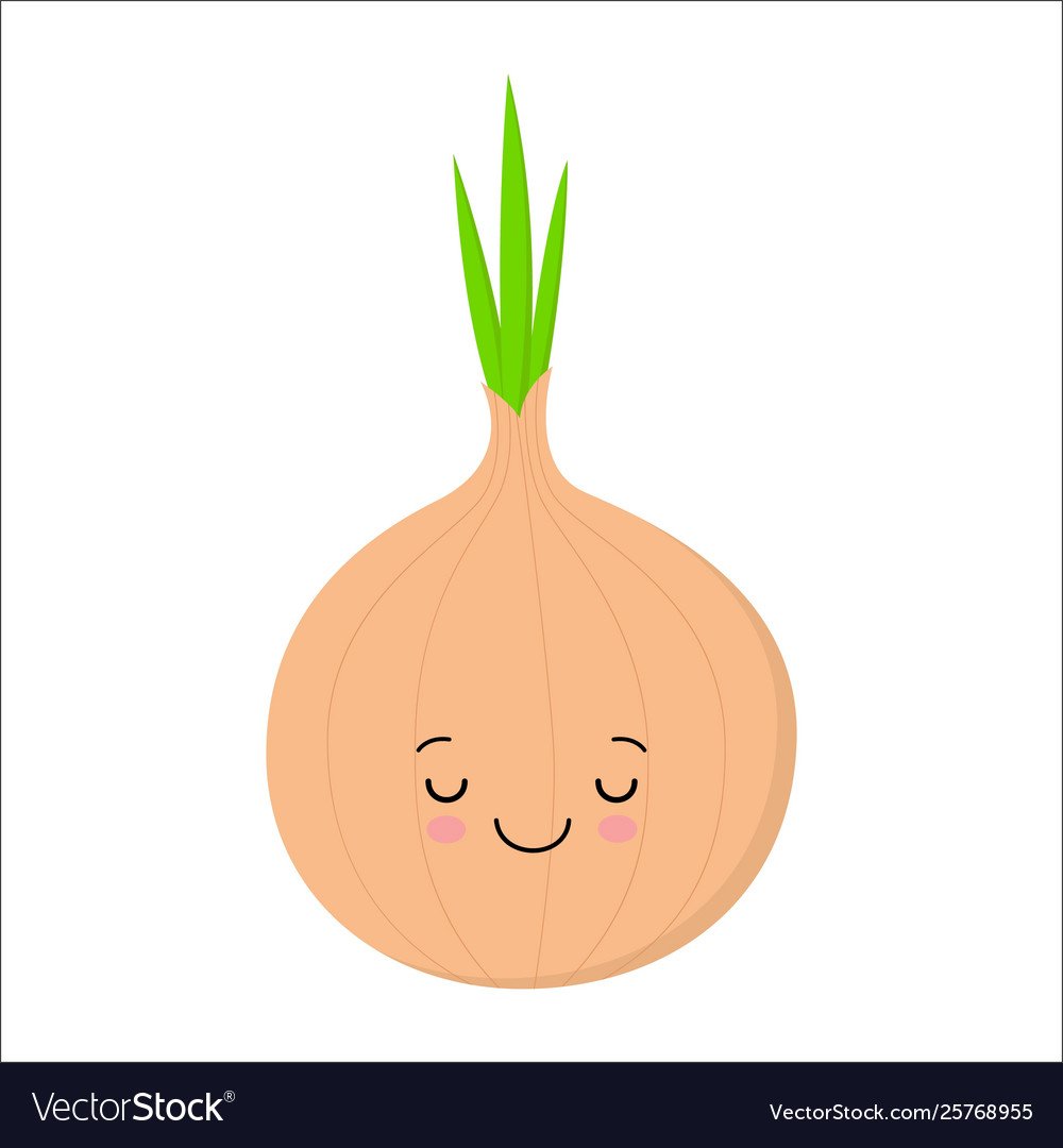 Лук зеленый лук репчатый чеснок