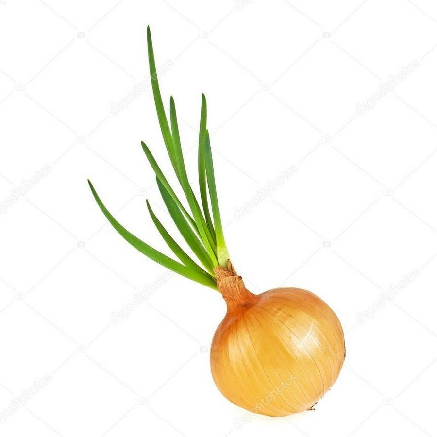 Каваи лук овощ