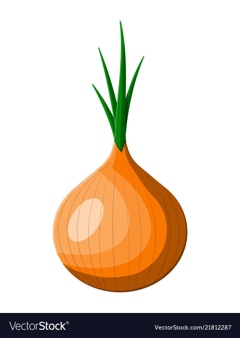 Коренья и репчатый лук