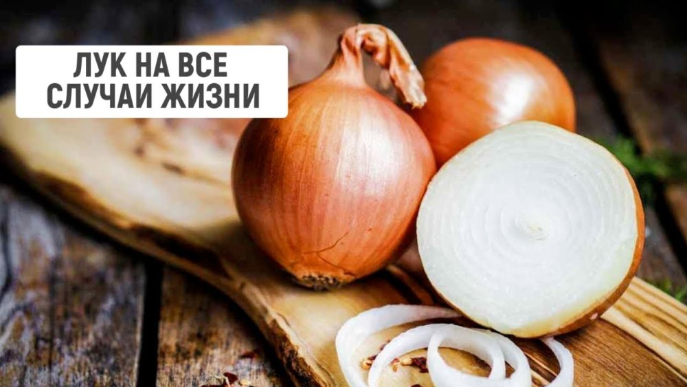 Лук репчатый Одинцовец