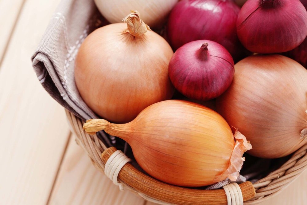 Болгарский лук PNG