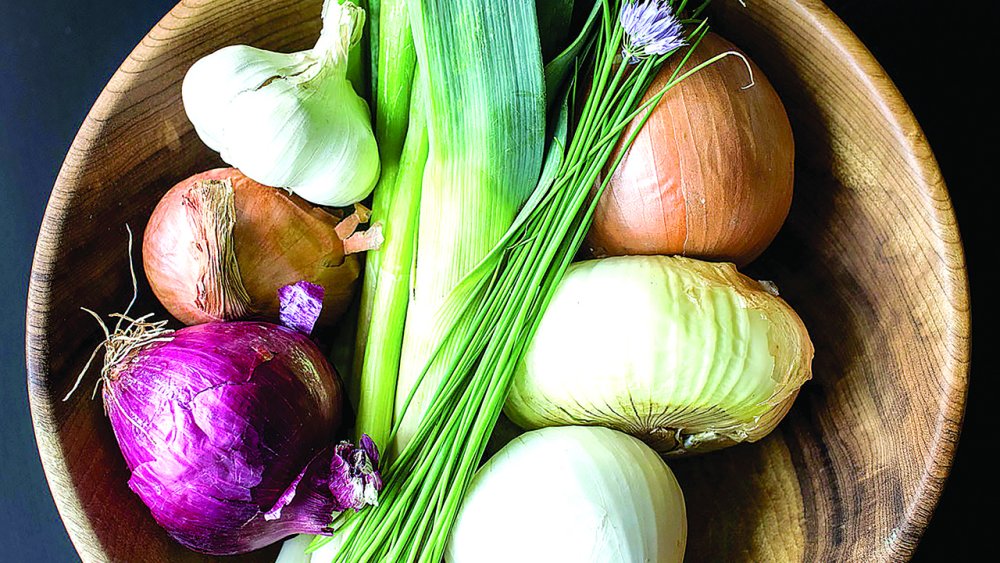 Красный лук Слайс