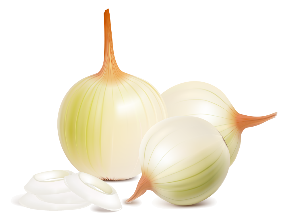 Зеленый лук акварель