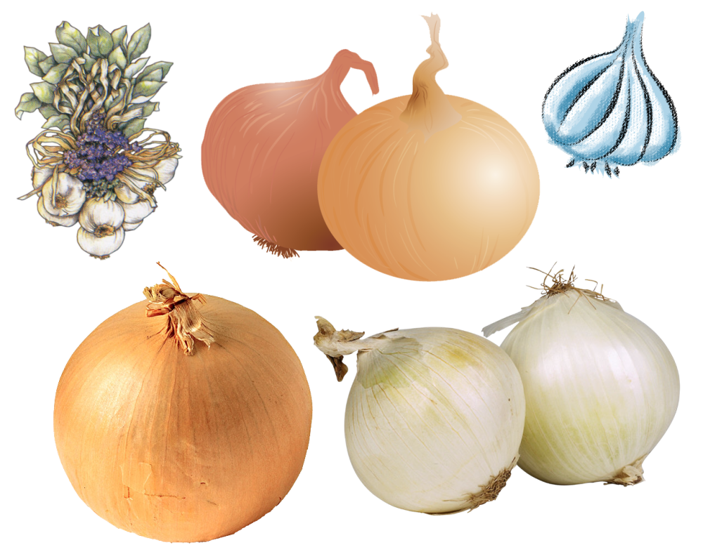 Веселые овощи лук