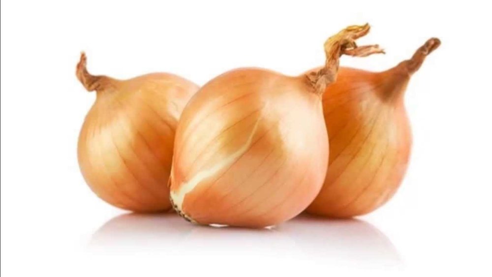 Лук на прозрачном фоне