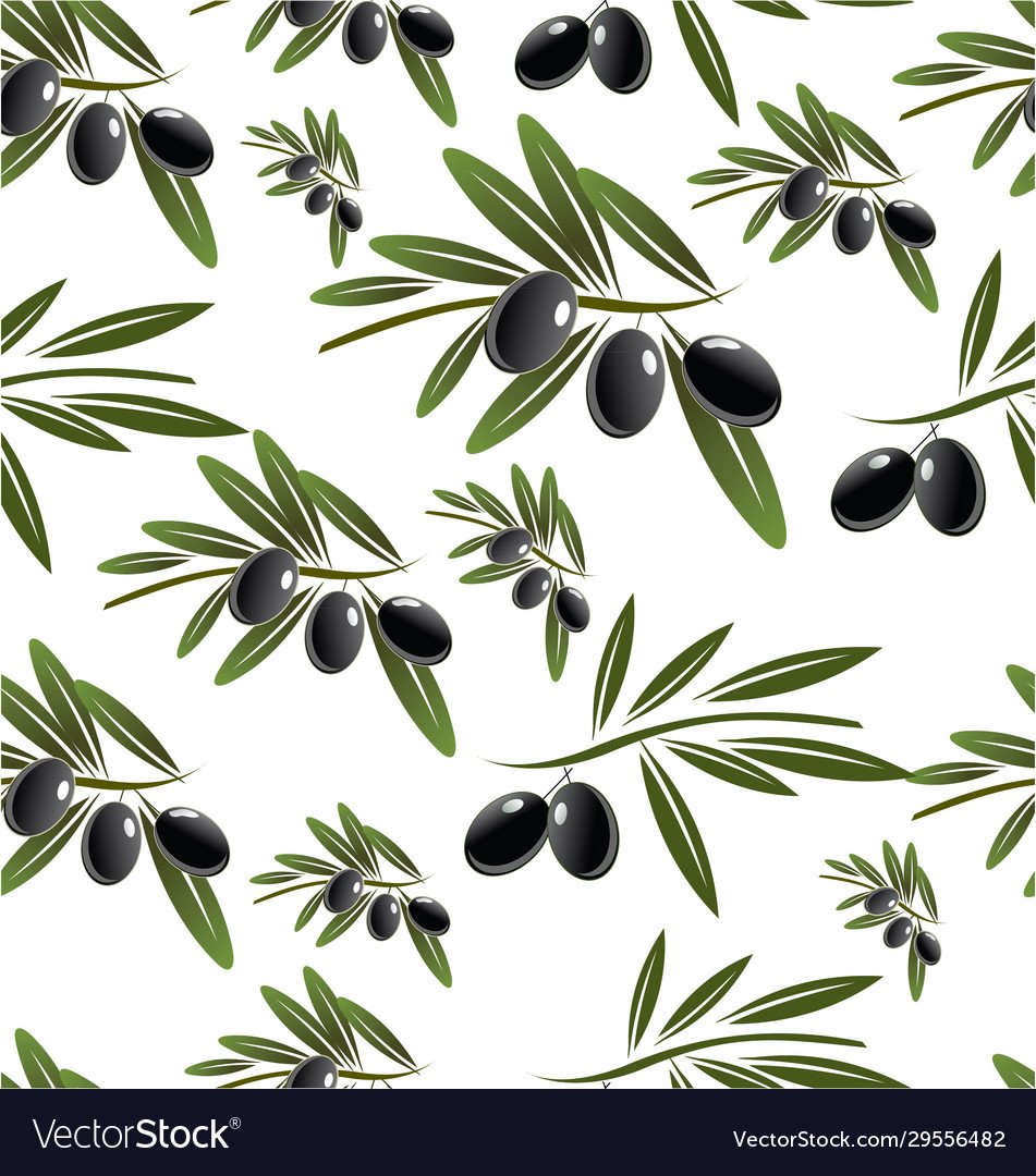 Оливки фон вектор