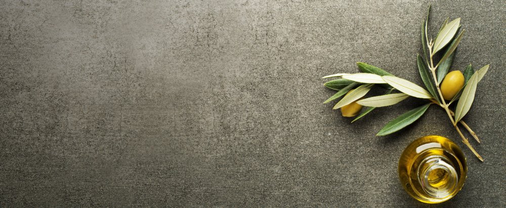Оливковое дерево на сером фоне