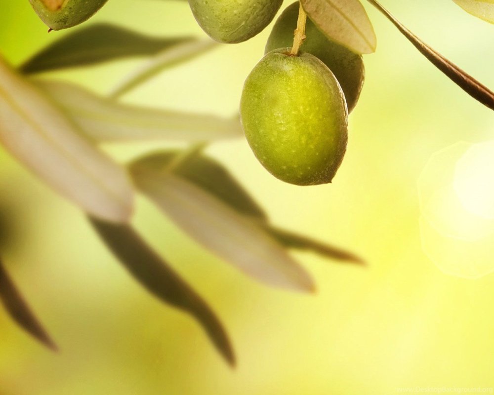 Оливки на черном фоне