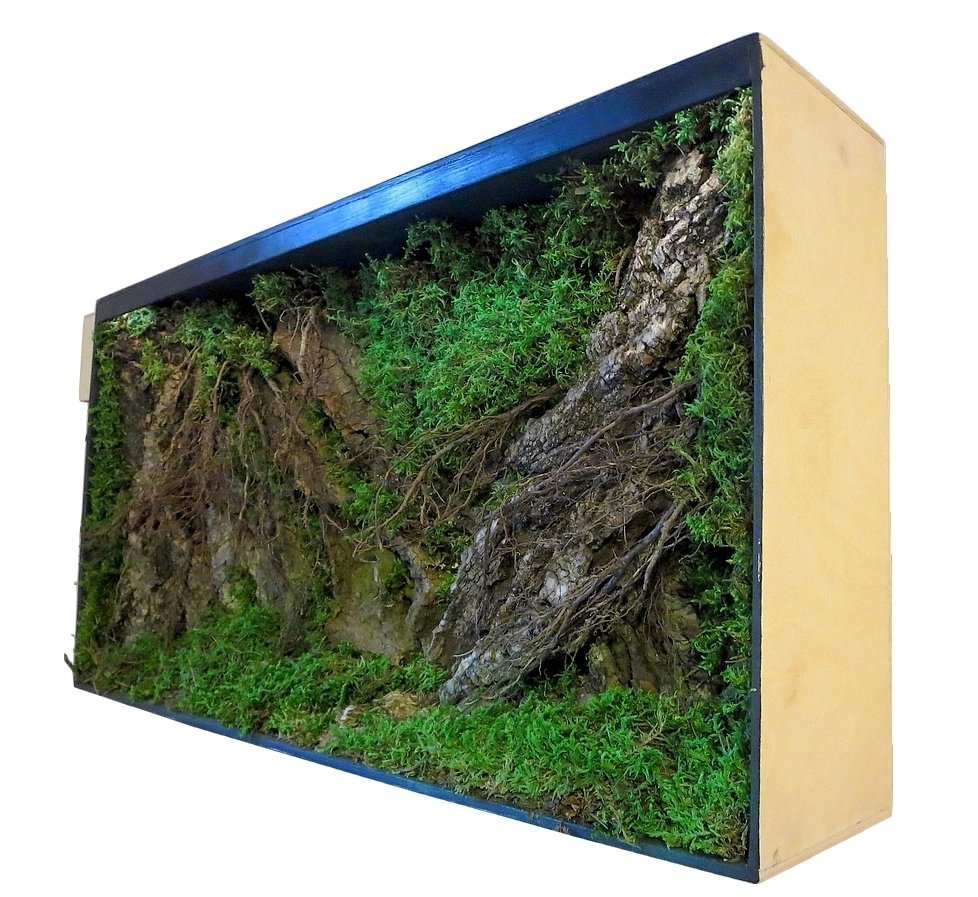 Объемный задний фон для аквариума