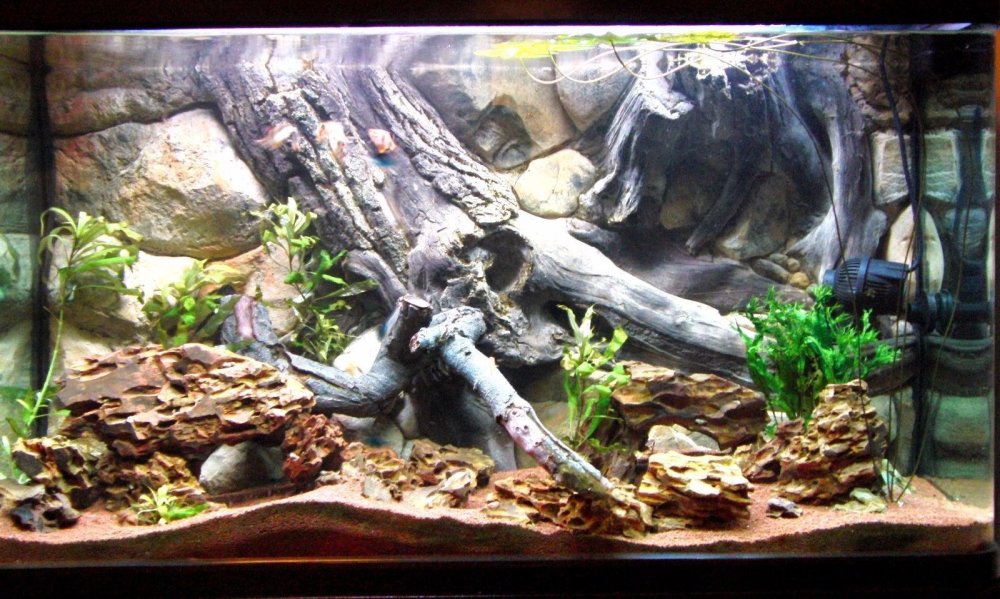 Структурный задний фон для аквариума