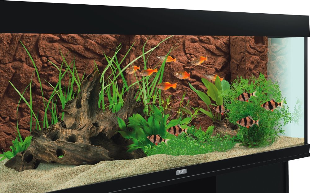 3 Д панель для аквариума