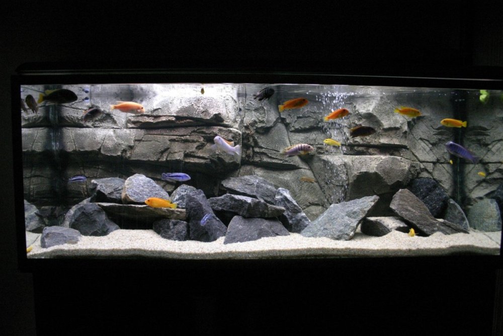 Задний фон для аквариума для печати