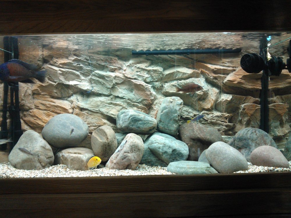 3д фон для аквариума