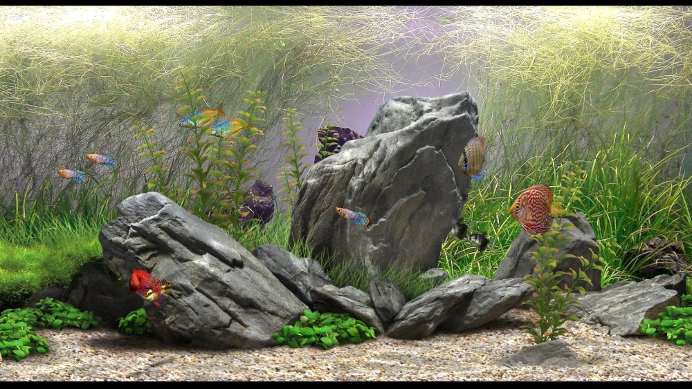 Структурный фон для аквариума