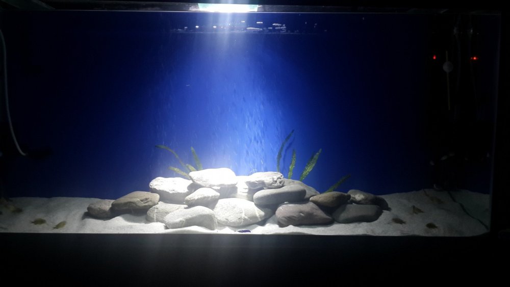 Задний фон аквариума из камней