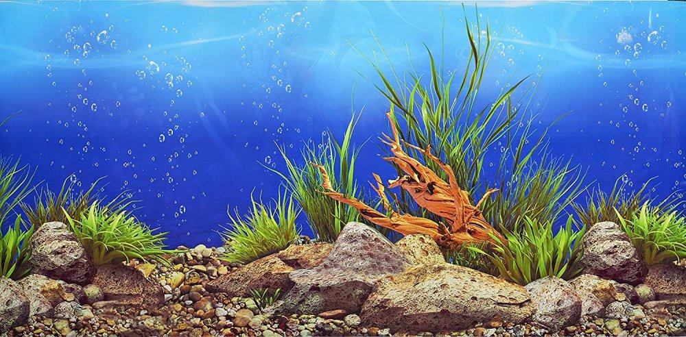 3д фон для аквариума