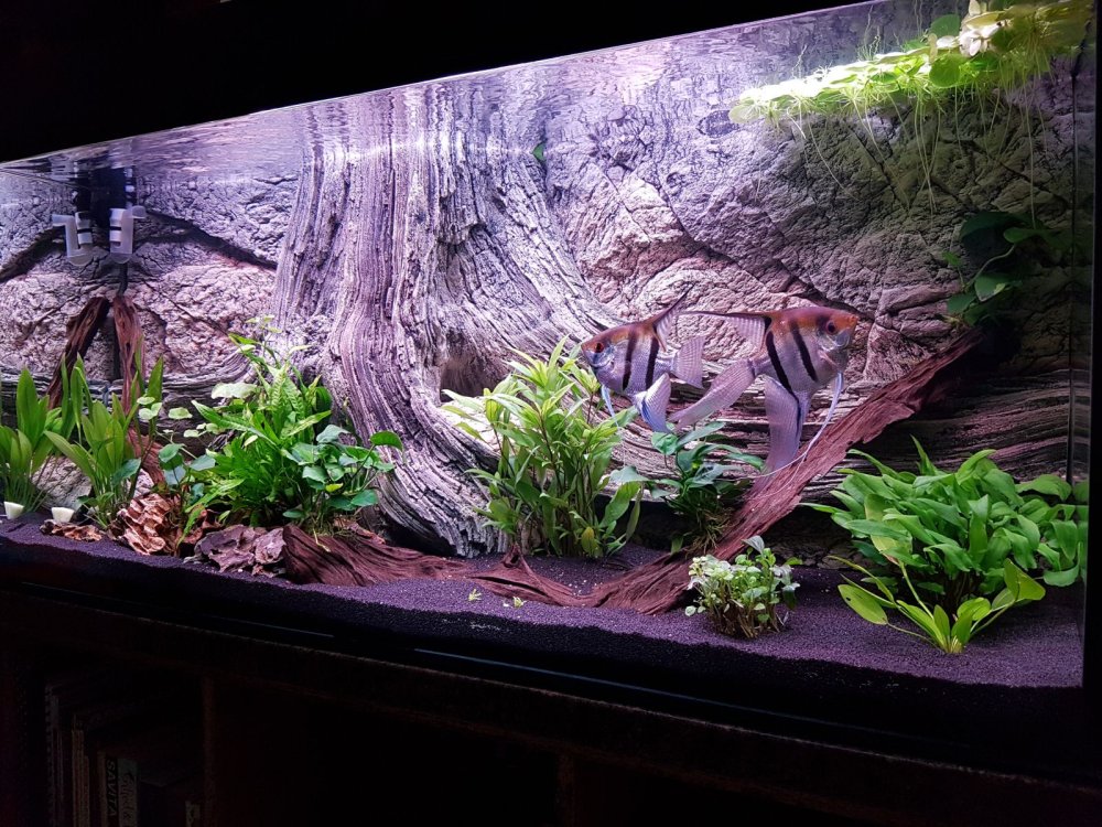 Объемный аквариум