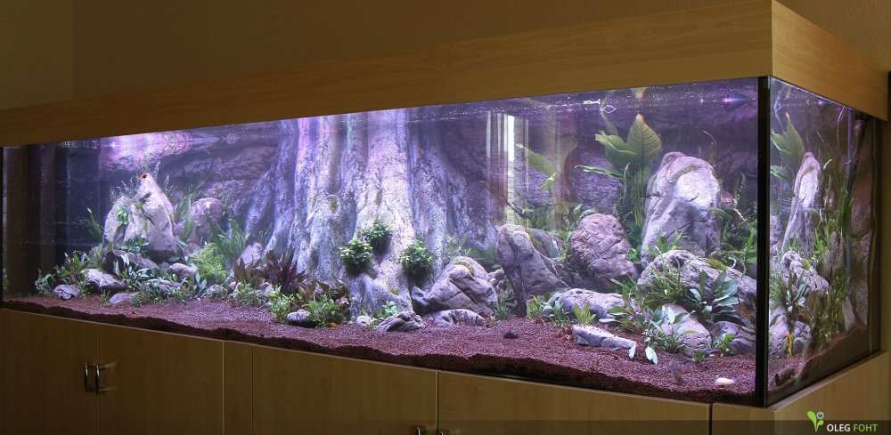 3d фон для аквариума своими руками