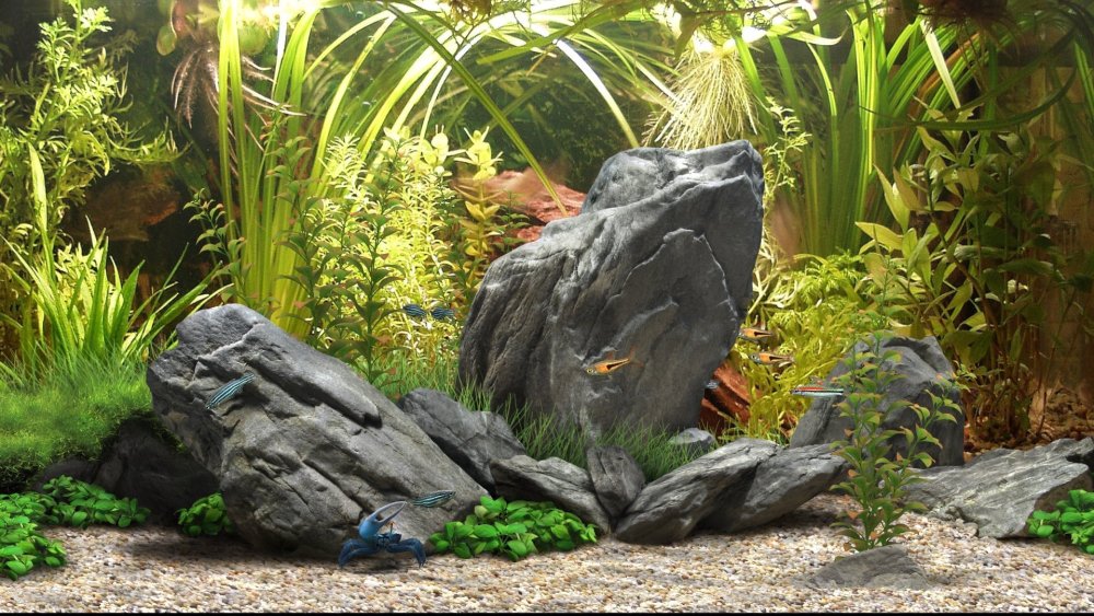 Фон для аквариума из пенопласта