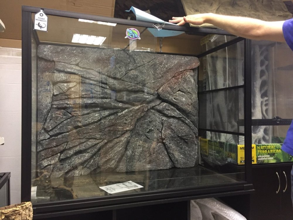 Объемный фон для аквариума