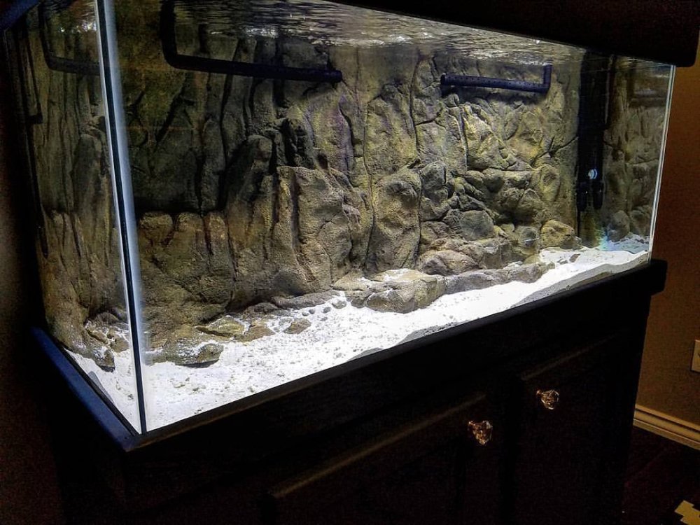 Задний фон для аквариума