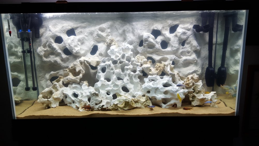 Аквариумный фон Амазонка