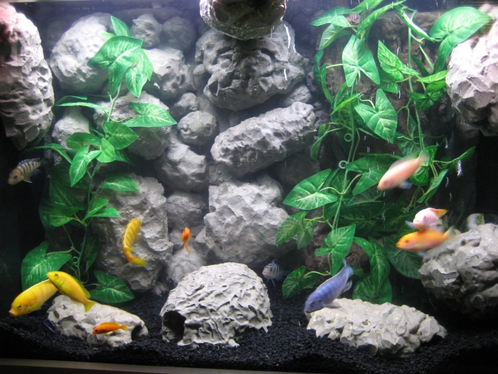 Фон для аквариума на заднюю стенку