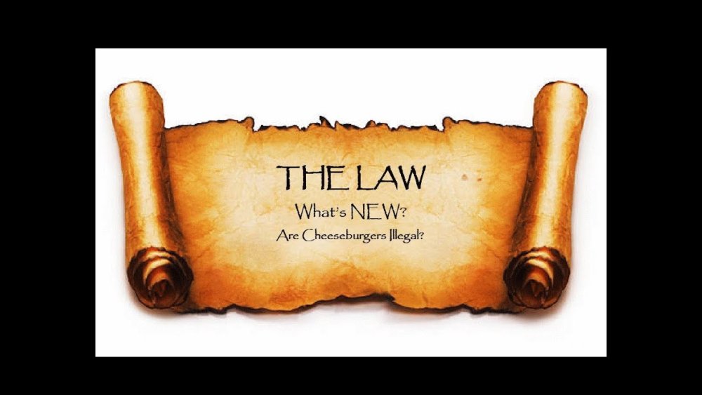 Свиток длинный на белом фоне