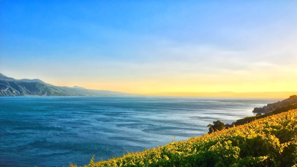 Вид на море