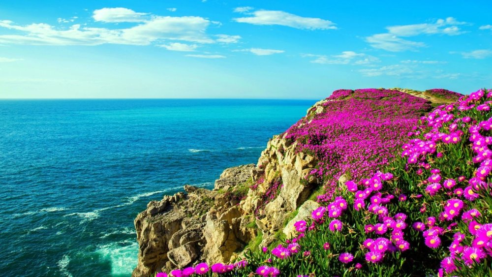 Бискайский залив