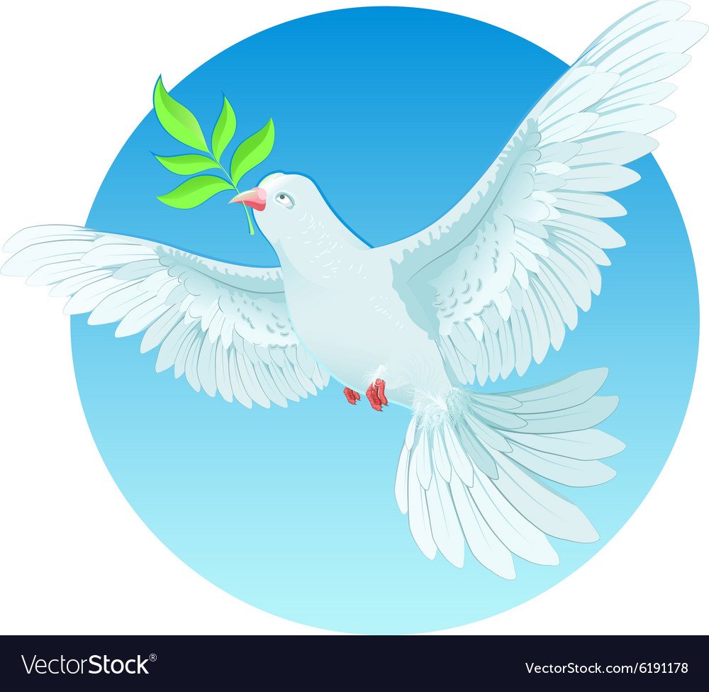 Голубь символ мира