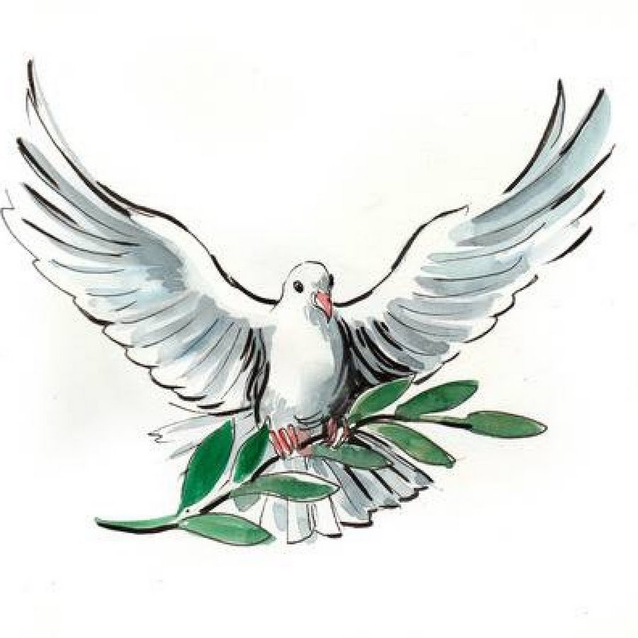 Голубь с веткой оливы символ