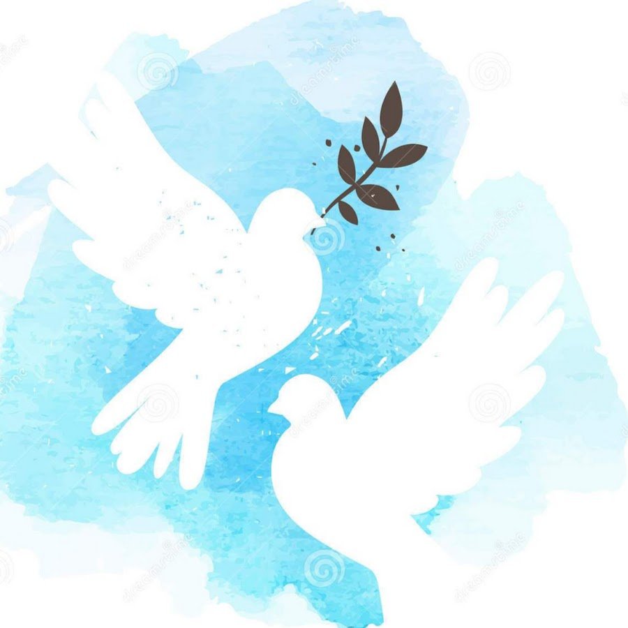 Голубь мира акварель