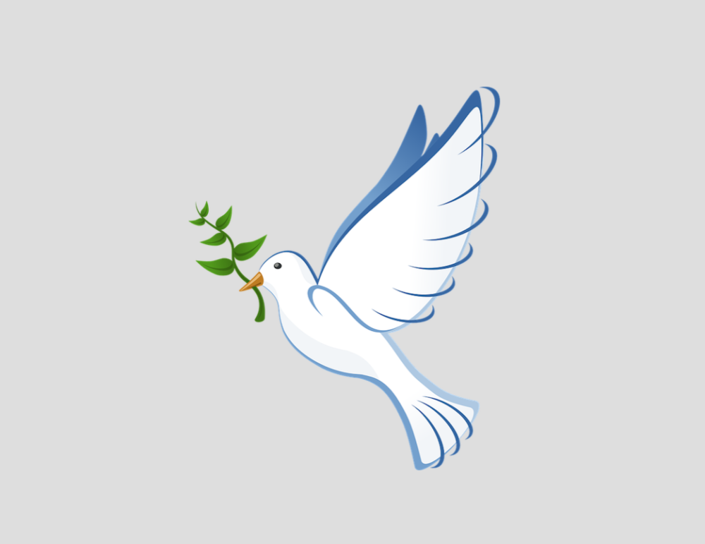 Белый голубь с веточкой
