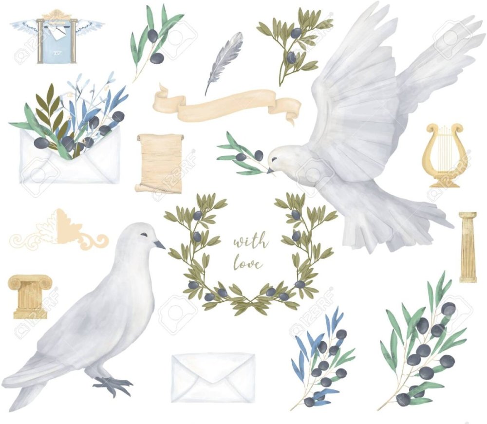 Голубь акварелью