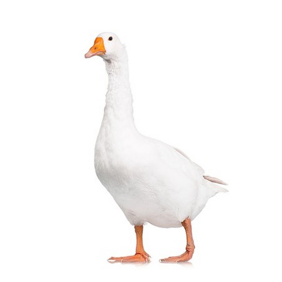 Гусь стилизованный