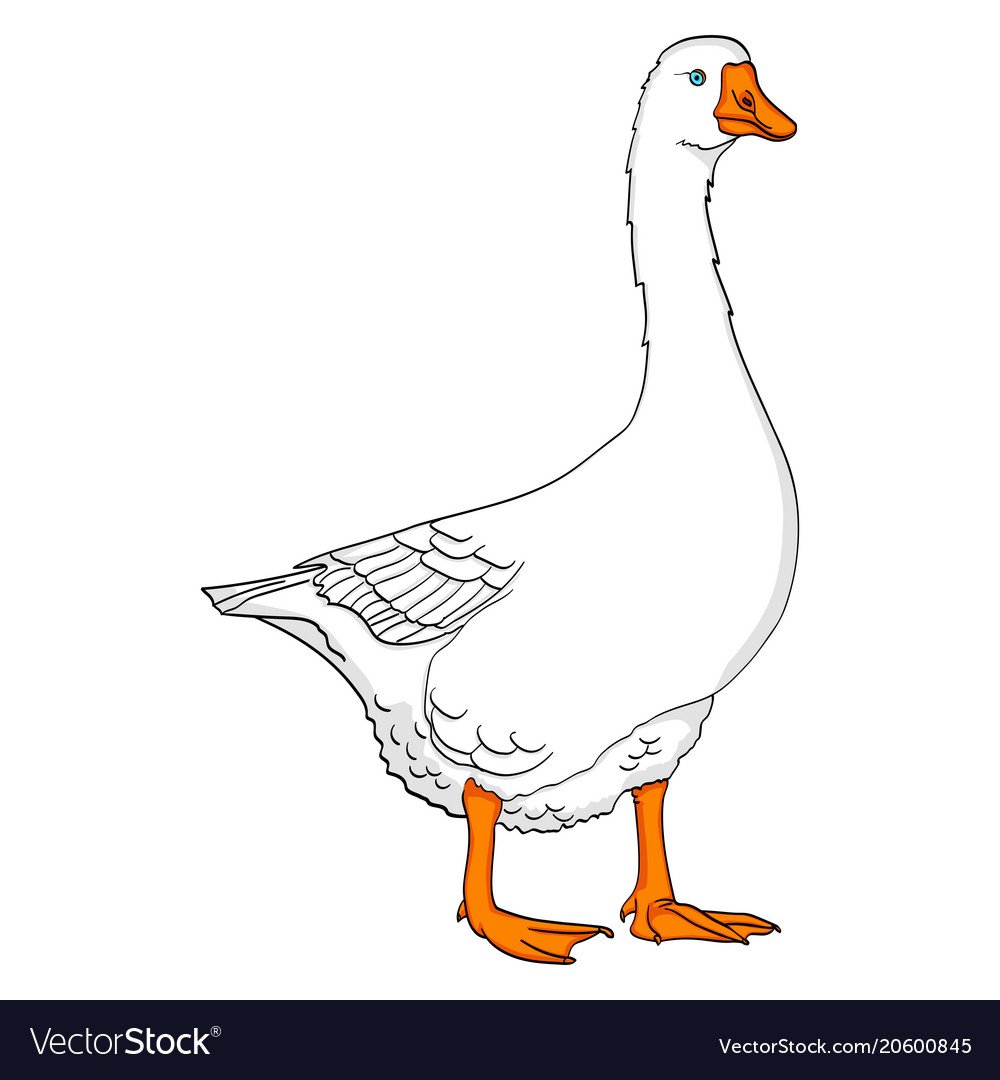 Гусь на черном фоне