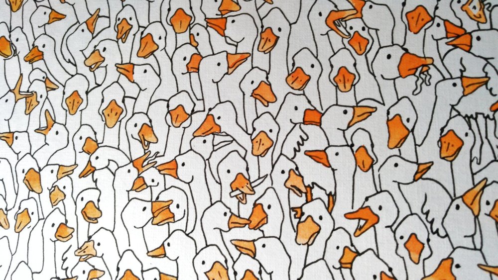 Обои на рабочий стол Гусь