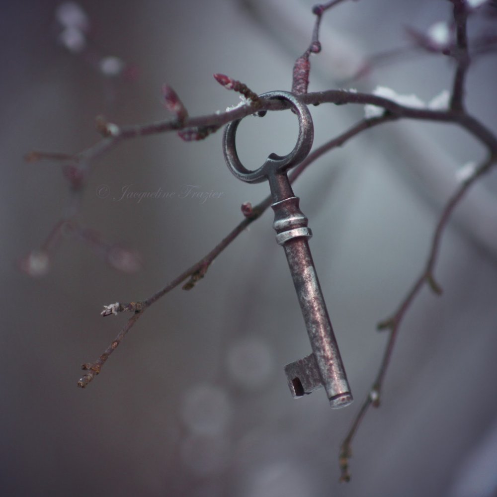 Волшебная дверь ключ