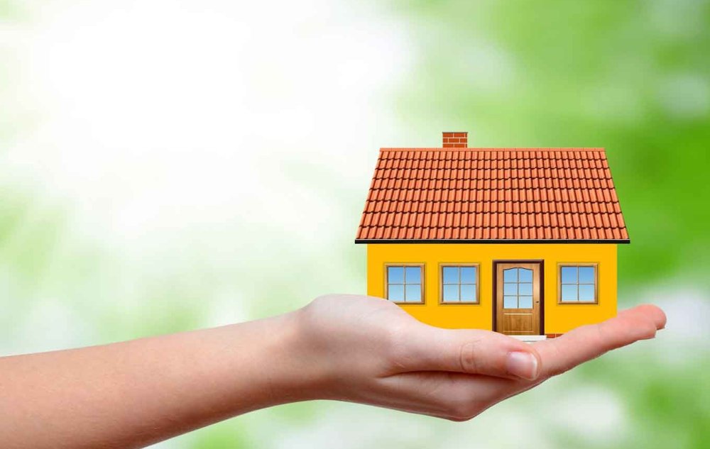 Дом на ладони